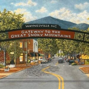 Participant Registration